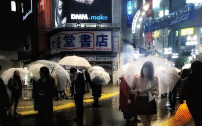 Full Day Smartphone Photography Workshop