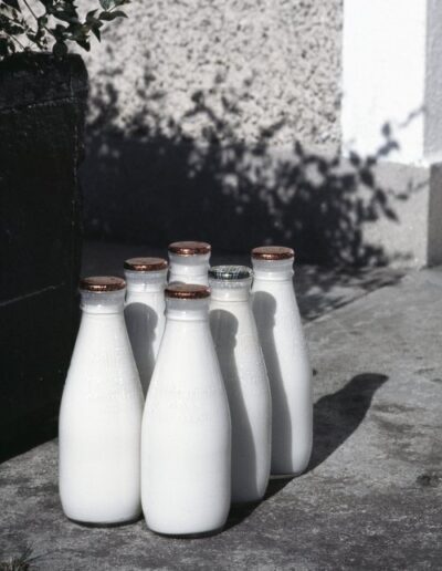 milk bottles