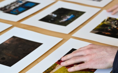 International Curator Portfolio Reviews