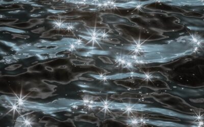 Creative Digital Photography Level 1 with Myles Shelly