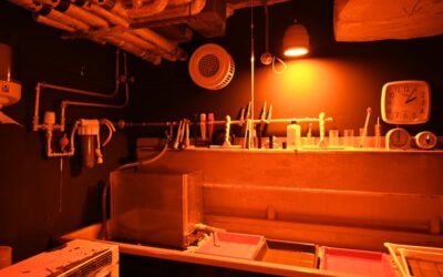 Introduction to Darkroom Printing workshop – Black and White