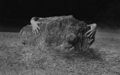 Reflecting the Real Curator’s Tour