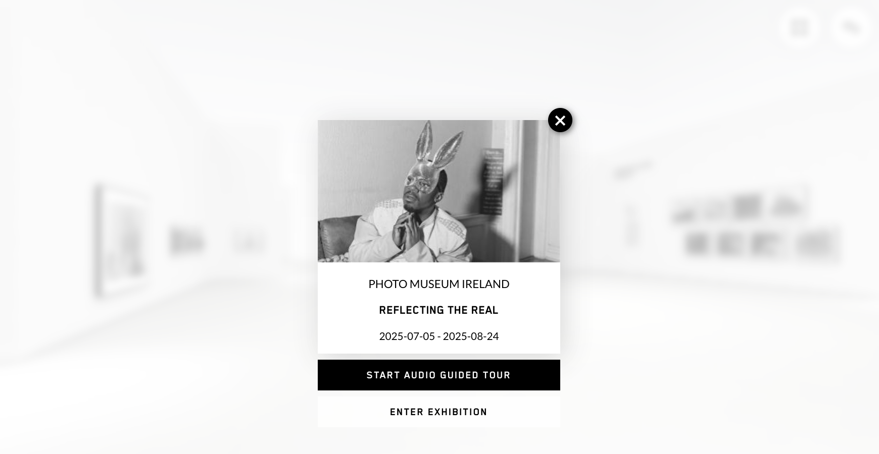 Screenshot of the virtual exhibition for Reflecting the Real