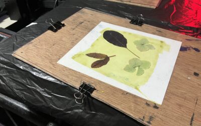 Cyanotype Masterclass with Jane Cummins