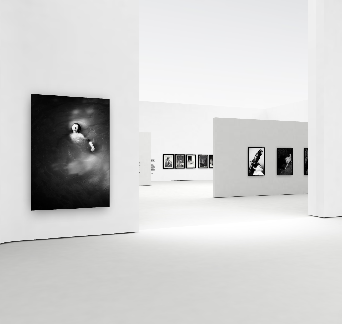 Large contemporary photography artworks sit in a virtual exhibition space. 