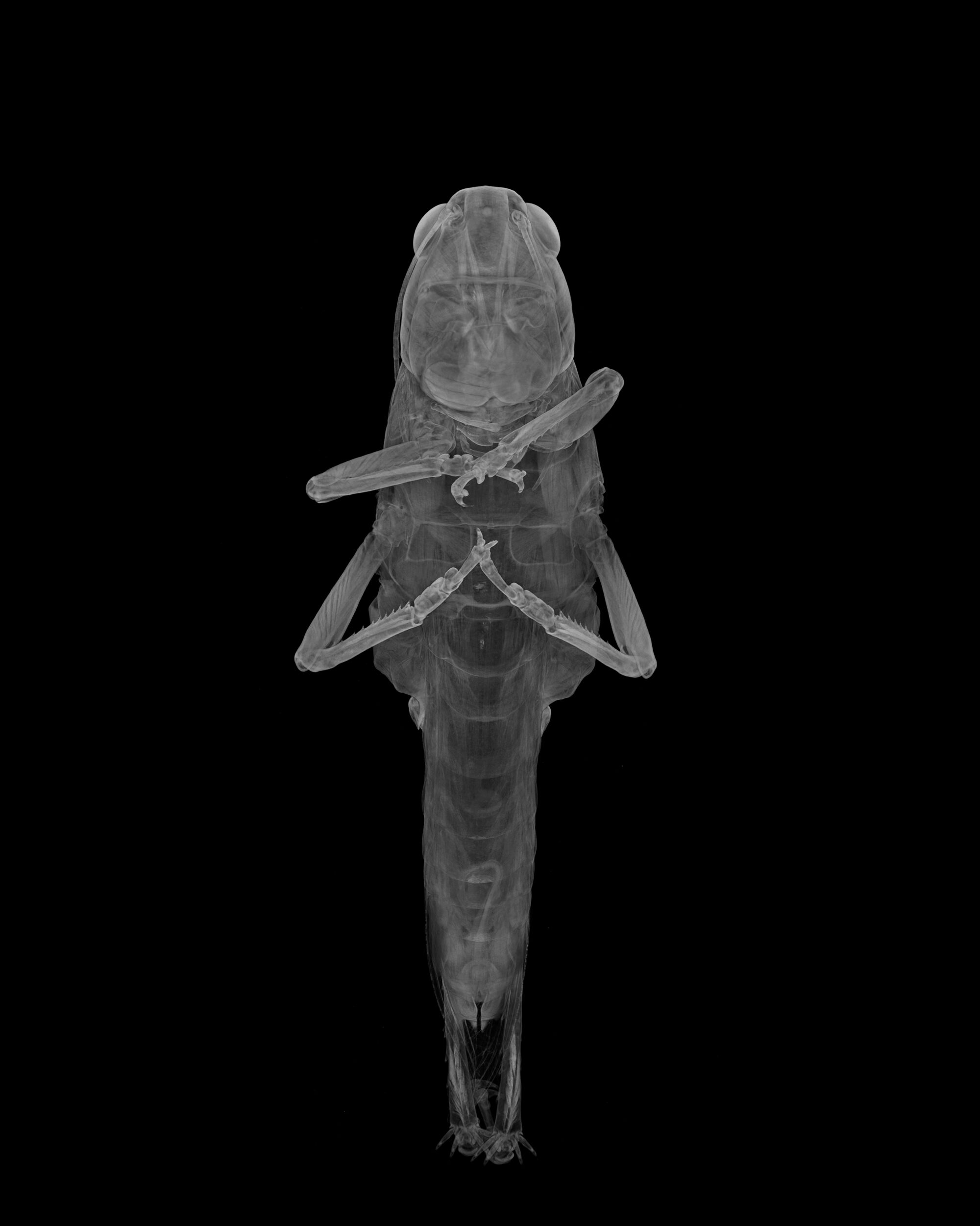 Maija Tammi Exhibition 'The Empathy Machine' at Photo Museum Ireland © Maija Tammi 3