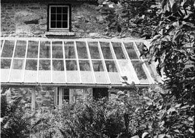 Julie Corcoran, Film Developed with Plants