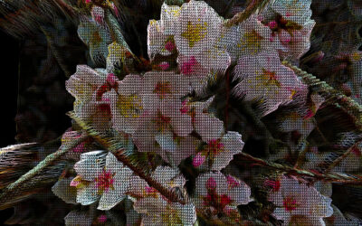 Audio Described Tour – Afterimage: Photography in the Digital Age