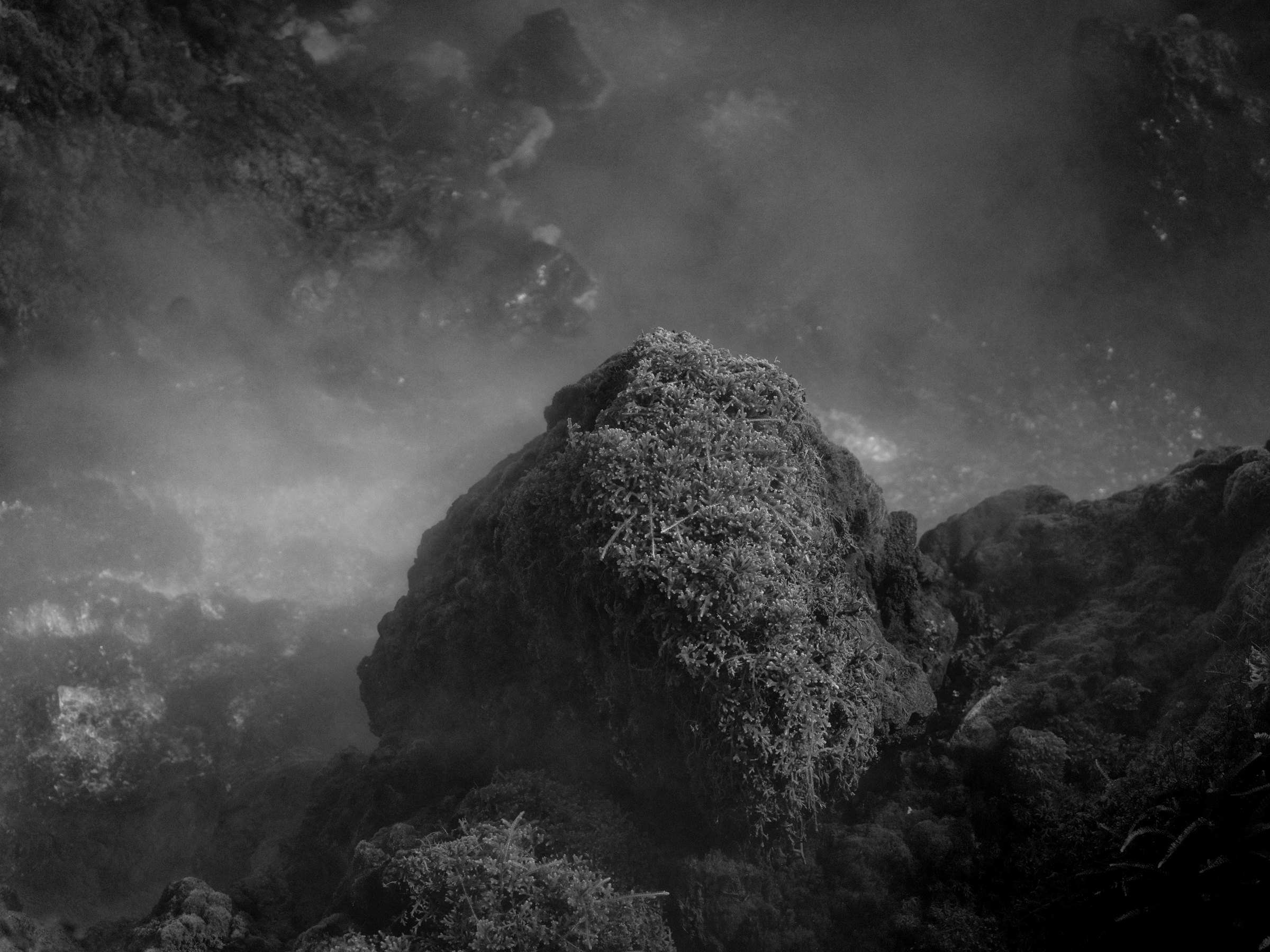 photo of a landscape