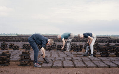 Shane Hynan Beneath | Beofhód 2026 lunchtime tours
