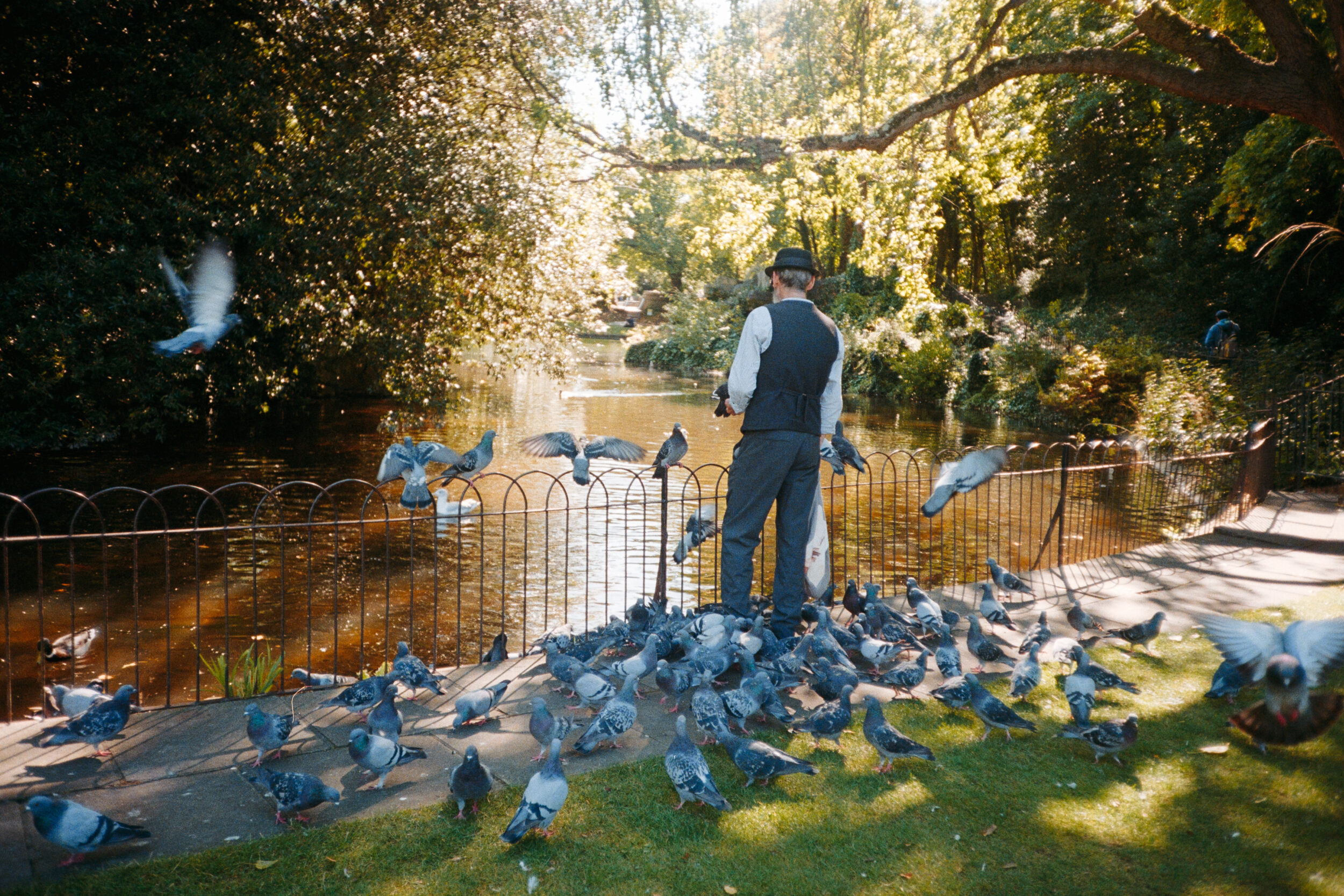 A man stands feeding pigeons by a pond surrounded by trees
