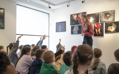 Schools, Colleges and Youth Groups Tour – Taylor Wessing Irish Photo Prize 2026
