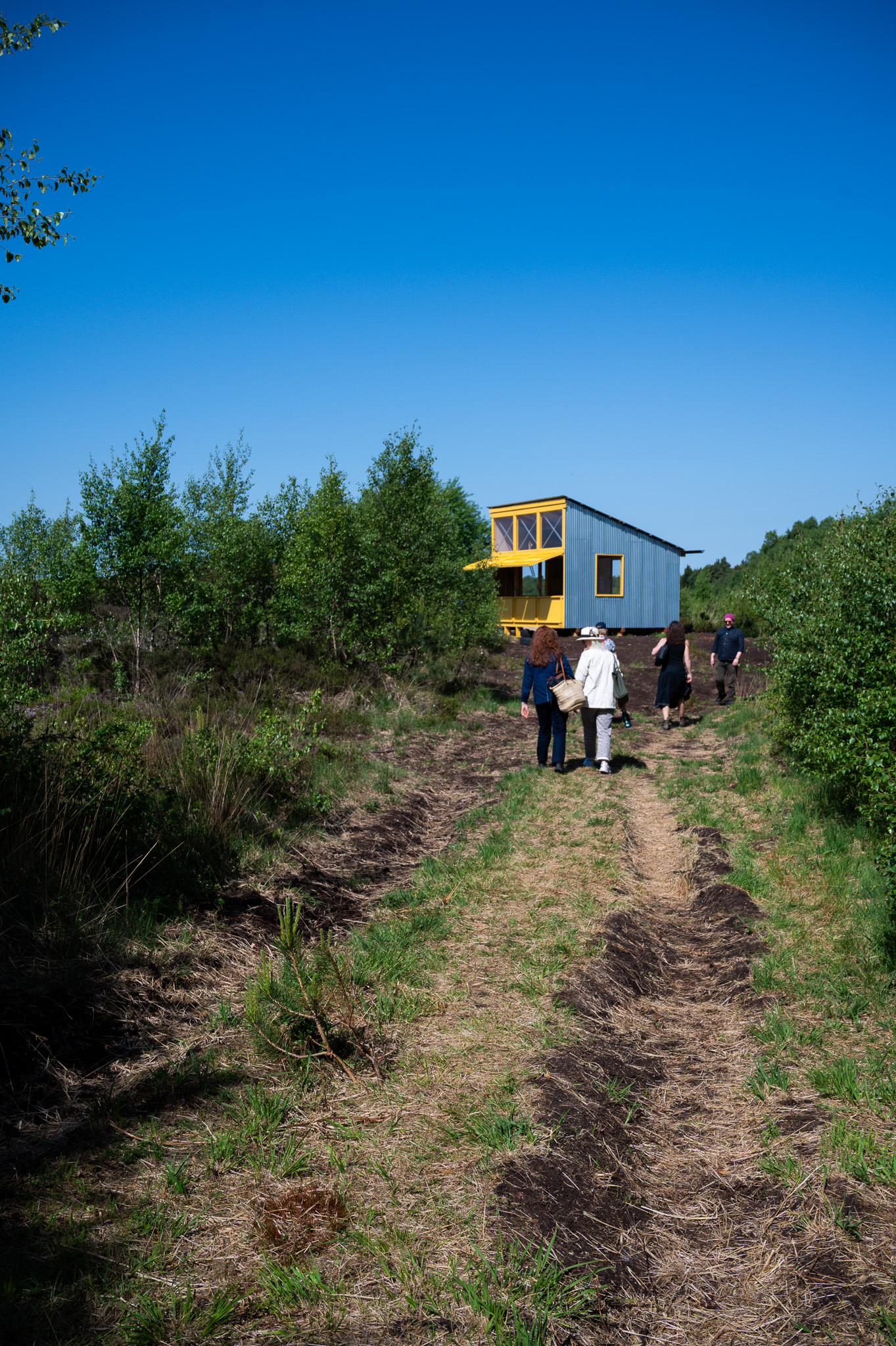 Students and tutor preparing to create