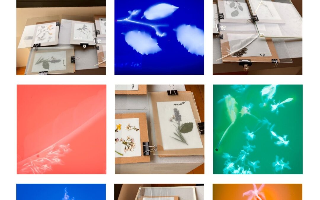 Artist-Led Participatory Photography Programme with Young People